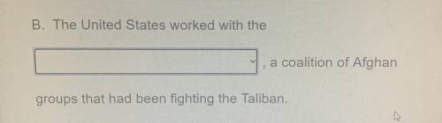 The United States worked with the ______ ,a coalition Afghan groups that had been fighting the Tali