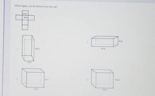 Which figure can be formed from the net?