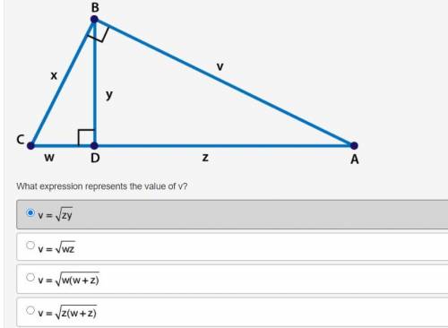 I need help ASAP will mark the brainliest