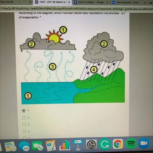 HELP ASAP BIO QUESTION MULTIPLE CJOICE