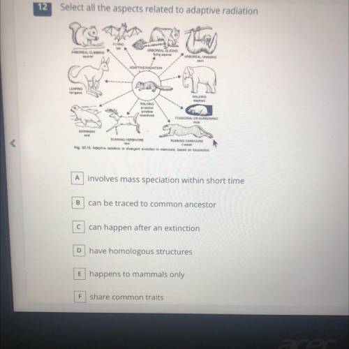 Select all the aspects related to adaptive radiation