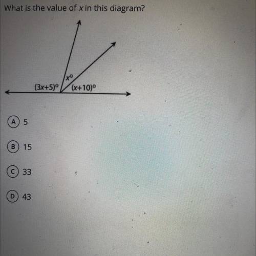 What is the value of x?