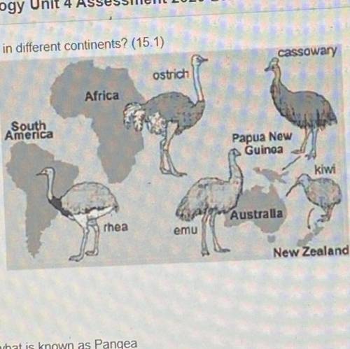 What is the best explanation scientists have been able to come up with for the appearance of Ostric