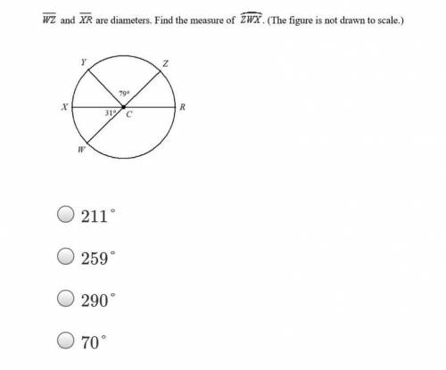 Find the measure of zwx 
Pleaseee help