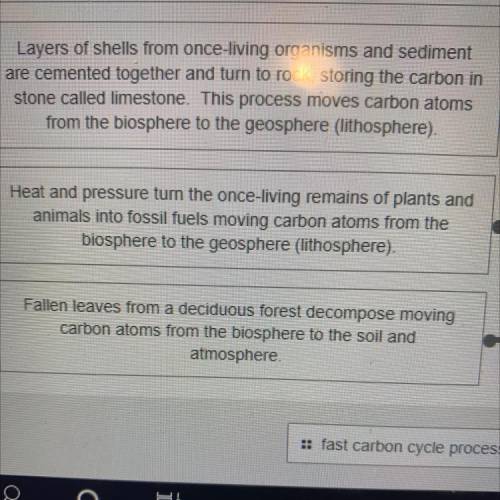 -Slow carbon cycle process 
-Fast carbon cycle process