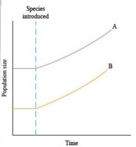 Which ecological relationship is best represented by this graph?

Note: Species A's population inc