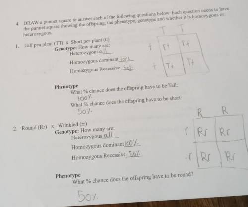 Please help i don't know if I have these right? my teacher wasn't here today to help ​