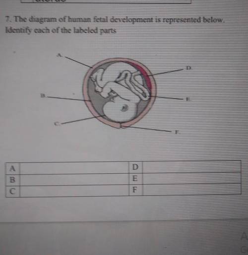 PLEASE HELP IM GIVING 30 POINTS AND BRAINLIEST PLEASE ​