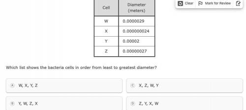 Which list shows the bacteria cells in order from least to greatest