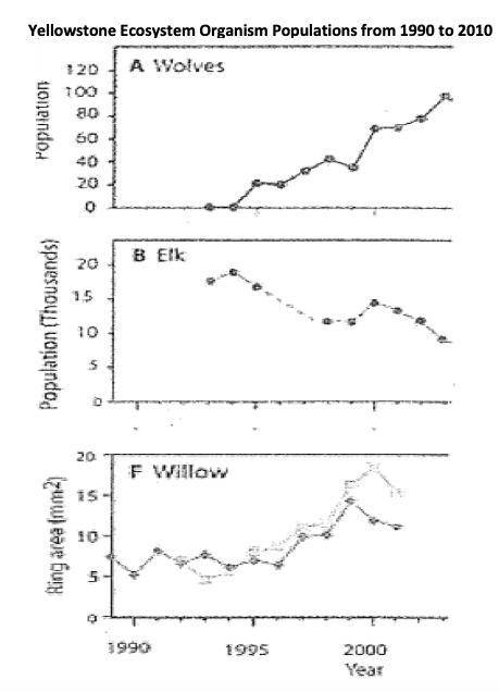 2

The number of wolves is much lower than the number of elk. Identify a possible explanation for