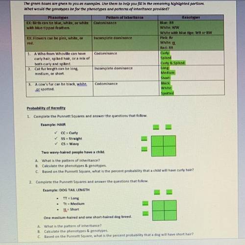 HELP PLEASEEEE!!!

The green boxes are given to you as examples use them to help you fill the rema