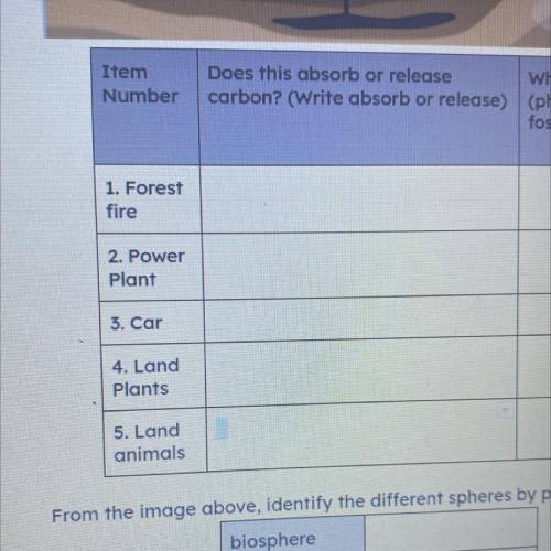 Do these absorb or release carbon? 1.forest fire 2.power plant 3.car 4.land plants 5.land animals