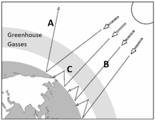 Which process keeps the Earth from having extremely cold temperatures at night? *

Process A (Infr