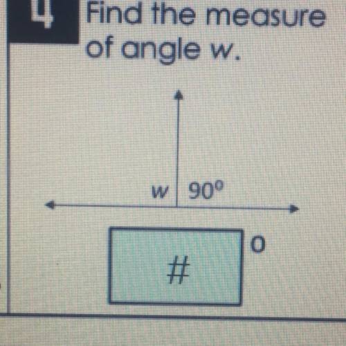 Find the measure of angle w