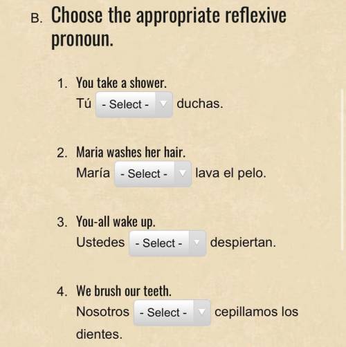 PLEASE HELPPPPP the options are me, te, se, nos, os
