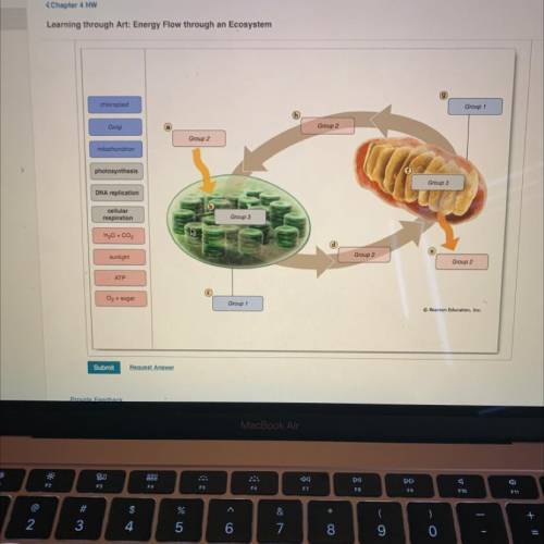 Please help me with this