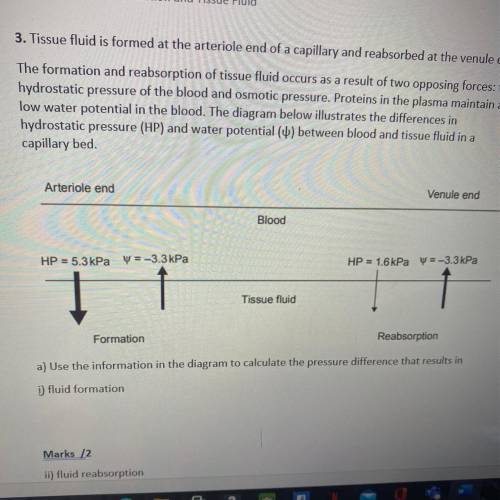 Need help on both questions 
Fluid formation and fluid reabsorption