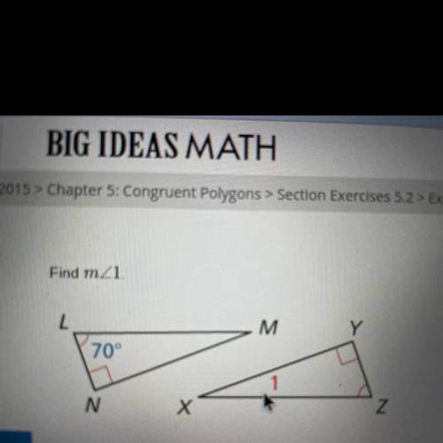 What does measure 1 equal?