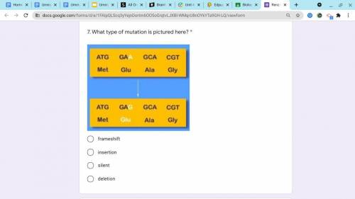 What type of mutation?