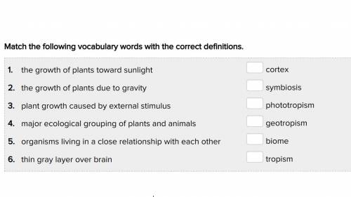 Pls i need help with this vocab pls! ASAP