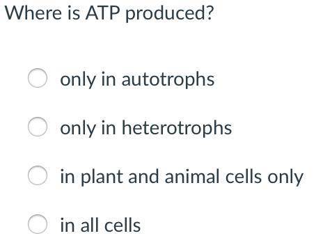 Where is ATP produced?