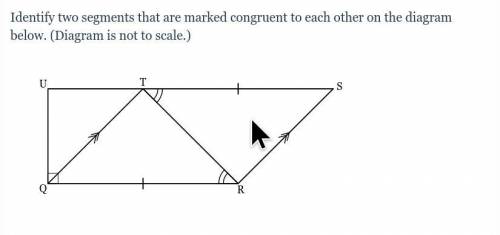 Pls help

Identify two segments that are marked congruent to each other on the diagram below. (Dia