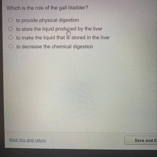 Which is the role of the gall bladder?

O to provide physical digestion
O to store the liquid prod