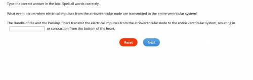 What event occurs when electrical impulses from the atrioventricular node are transmitted to the en