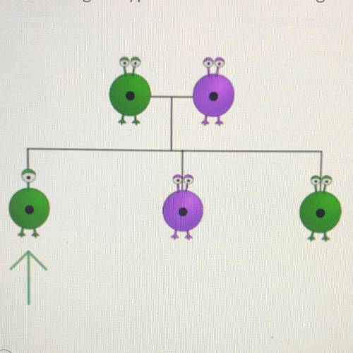 These aliens can be either green or purple. The dominant trait is green, and the

recessive trait