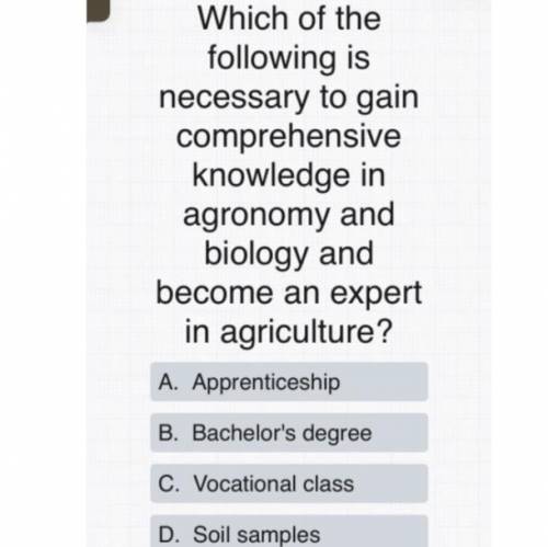 Career and business class question