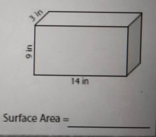 What is the surface area​