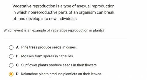 EXPERT HELP: EXPLAIN THE ANSWER PLEASE DON'T GUESS