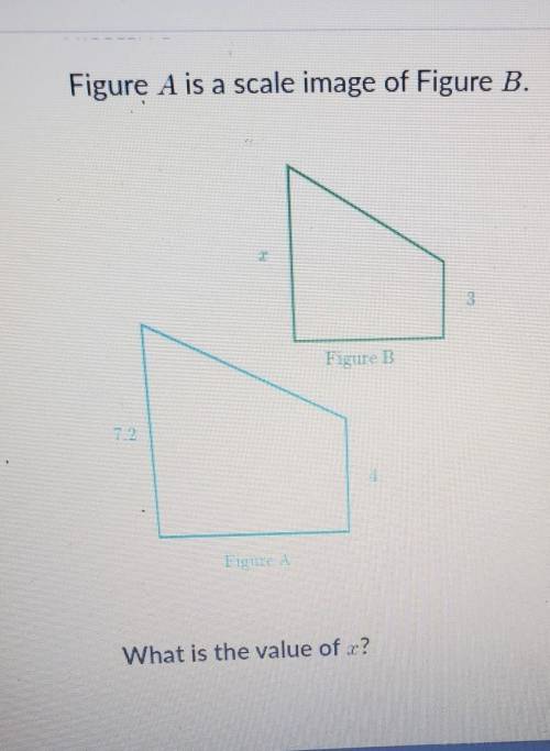 What is the value of x​