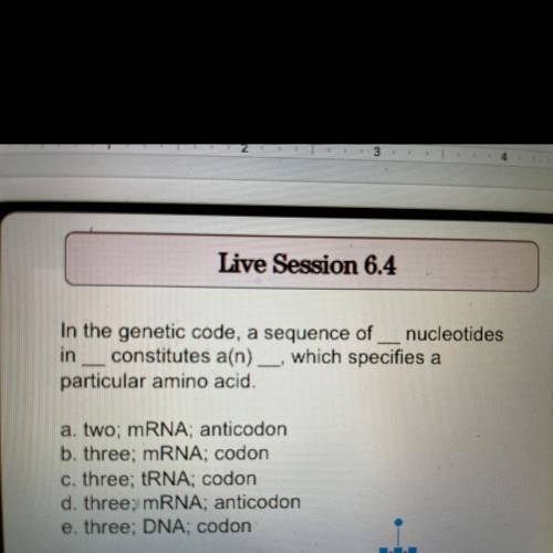 In the genetic code, a sequence of nucleotides

in constitutes a(n) __, which specifies a
particul