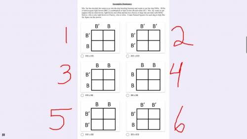 What is the correct Punnett square to use if Charley were to mate with Millie?