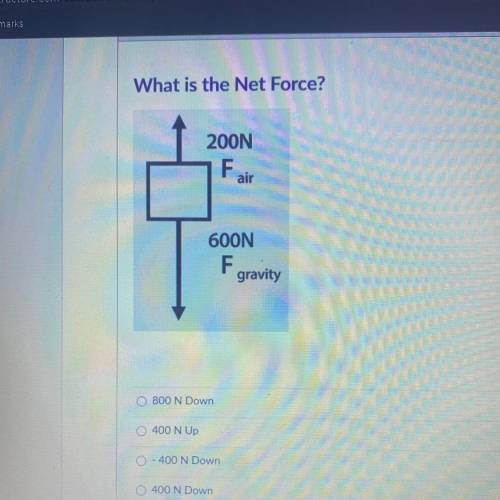 What is the Net Force?