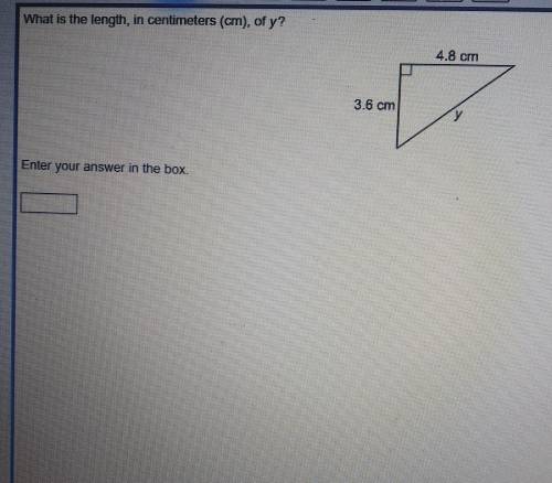 What is the length, in centimeters (cm), of y? ​