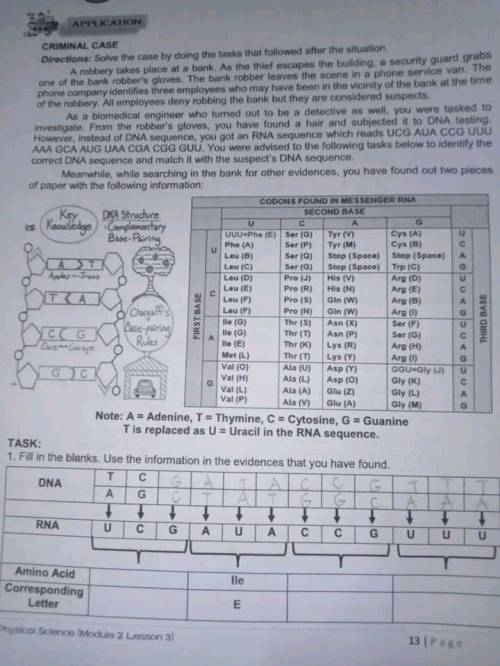 pahelp naman po.. criminal case: rna&dna sequence, base pairing, amino acid, corresponding lett