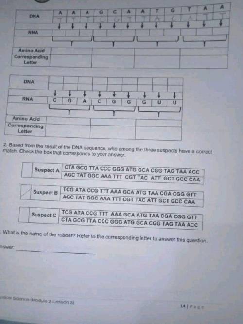 pahelp naman po.. criminal case: rna&dna sequence, base pairing, amino acid, corresponding lett