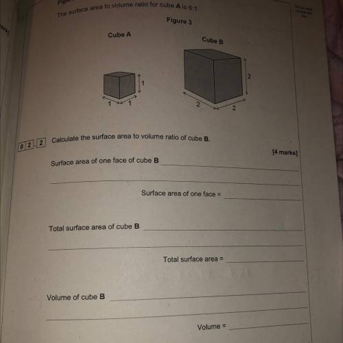 At the top it says the surface area to volume ratio for cube A is 6:1
pls help i beg :,)