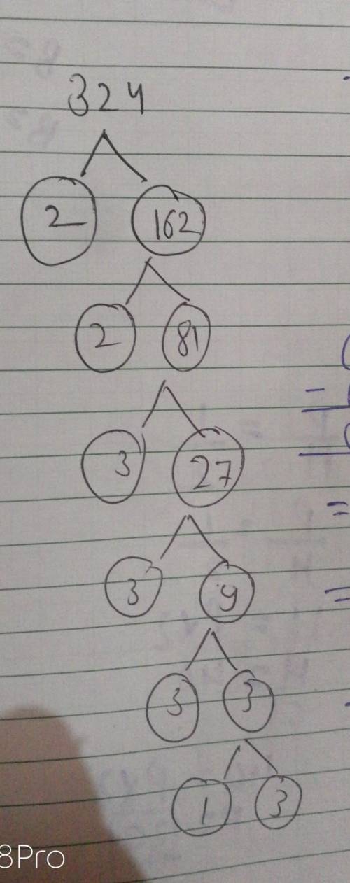 Please help... Write 324 as a product of its prime factors​