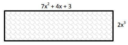Find the perimeter of the image