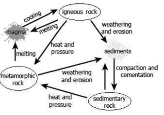 The diagram shows a rock cycle model made by a group of students. Based on the rock cycle model, wh