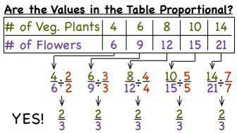 How do we check for proportionality in tables?

A Pick 2 pairs from the table
B Cross multiply
C Di