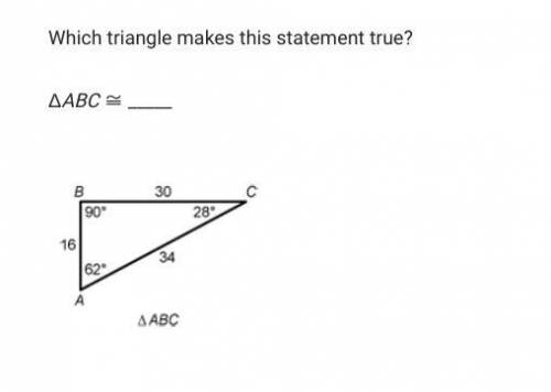Which Triangle makes this statement true?