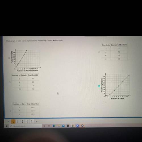 Which graph or table shows a proportional relationship? Select all that apply.