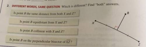 What is different? Find “both” answerd