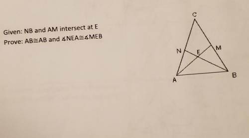 Given: NB and AM intersect at E Prove: AB=AB and ANEA=4MEB N M M E A

please help me with the proo