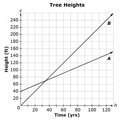 The graph shown compares the height of Tree A and the height of Tree B over time (in years).

How