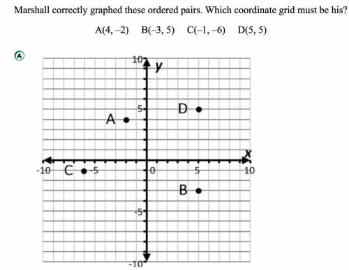 HELP ME ASSAPPP WHICH ONE IS IT